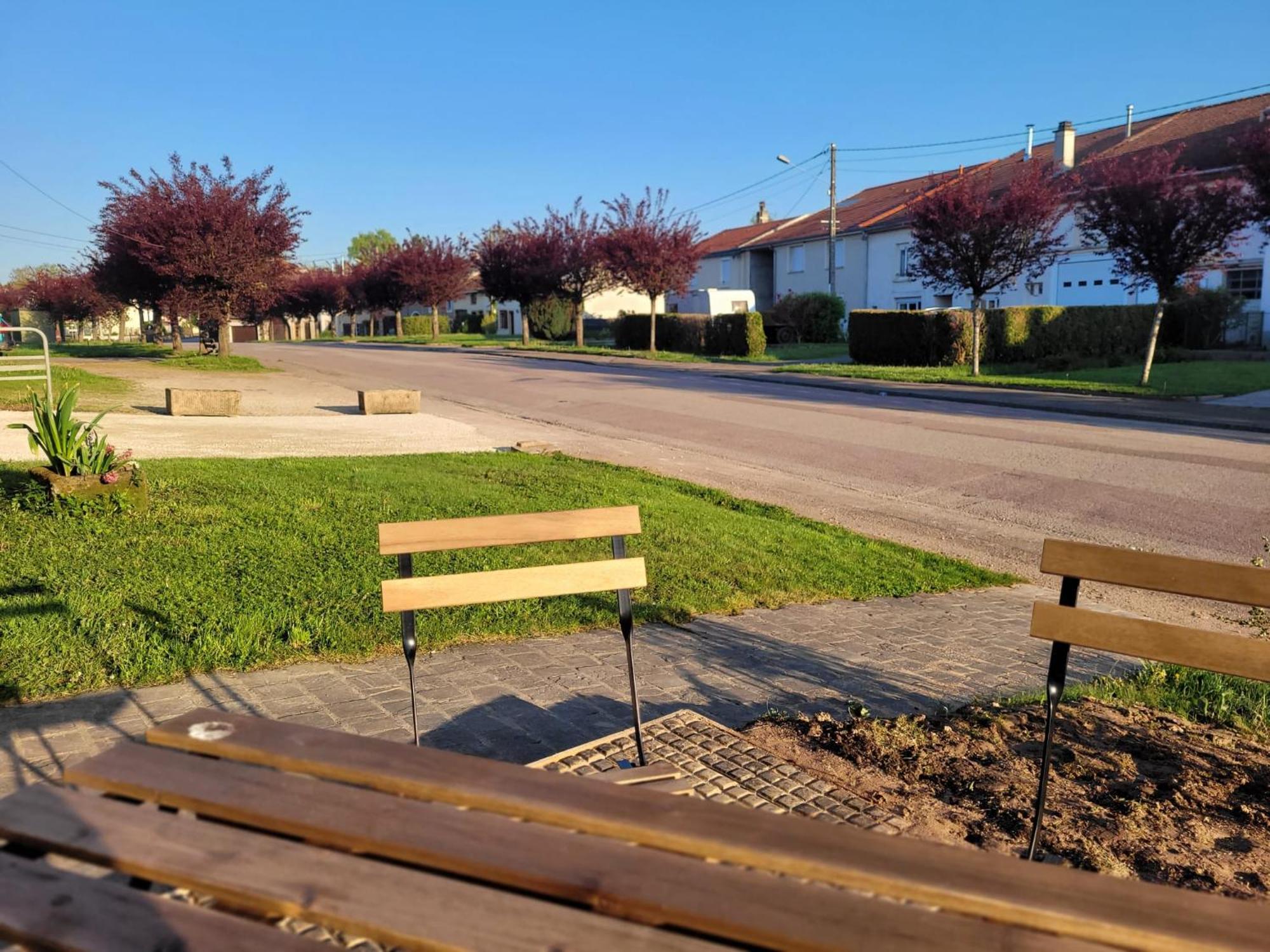 Gite Coeurdacier Monthureux-sur-Saone Екстер'єр фото